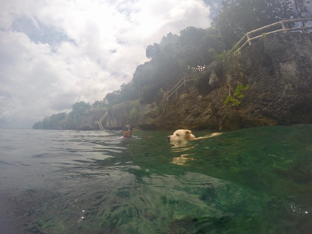 Alexis Cliff Dive Resort Đảo Đảo Panglao Ngoại thất bức ảnh