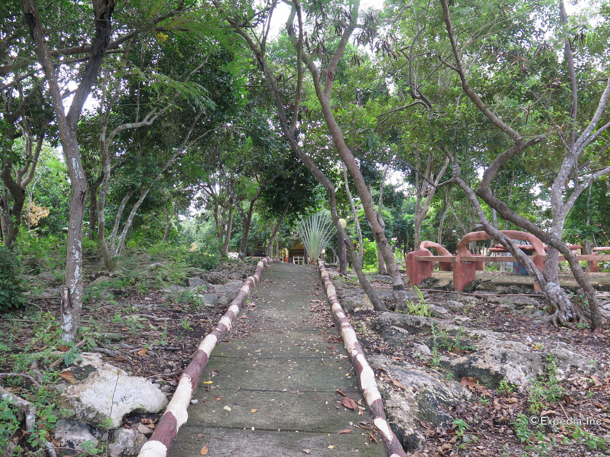 Alexis Cliff Dive Resort Đảo Đảo Panglao Ngoại thất bức ảnh